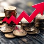 Raise Capital Business After Going Public